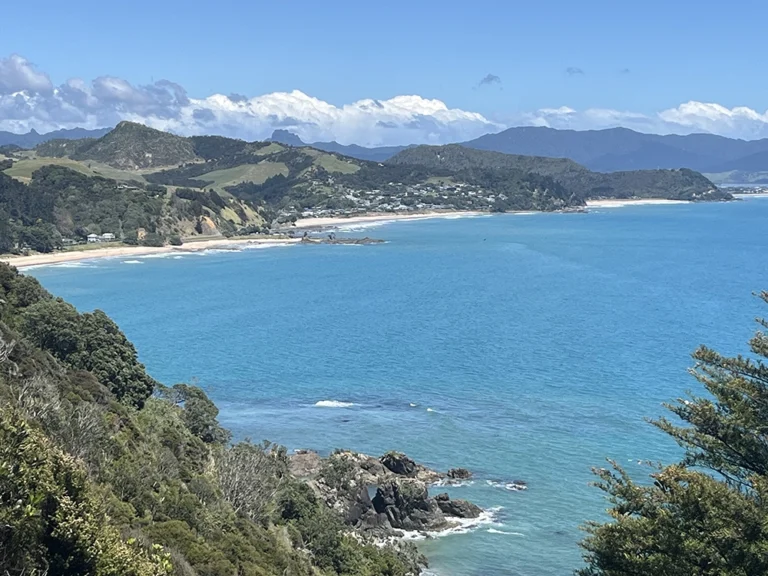 Find your perfect bach in Coromandel